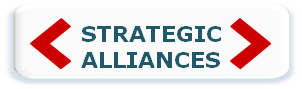 Strategic Alliances box - small