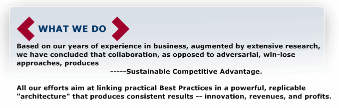 What We Do -- Strategic Alliances, Collaborative Innovation, Trust Building, Strategic Positioning